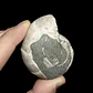 Par Fósiles de Ammonite opalescente #28 - Miniatura 4