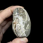 Par Fósiles de Ammonite opalescente #28 - Miniatura 6