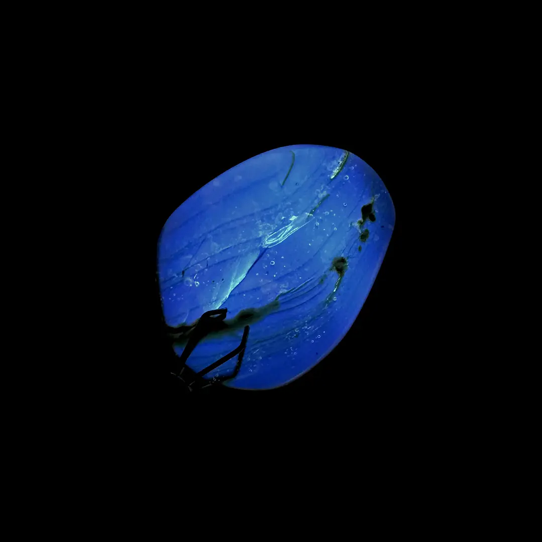 Ámbar con insecto #45 6