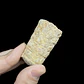 Fósil de Crinoidea #6 - Miniatura 1