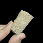 Fósil de Crinoidea #6 - Miniatura 6