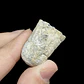Fósil de Crinoidea #7 - Miniatura 3