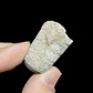 Fósil de Crinoidea #7 - Miniatura 5