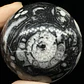 Esfera de Fósiles de Ammonite y Orthocera #1 - Miniatura 6