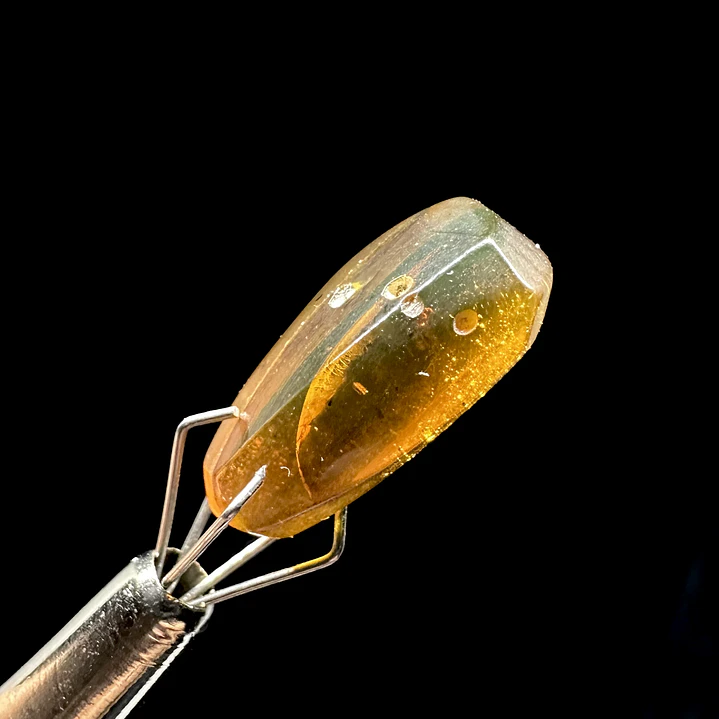 Ámbar con insecto #48 4