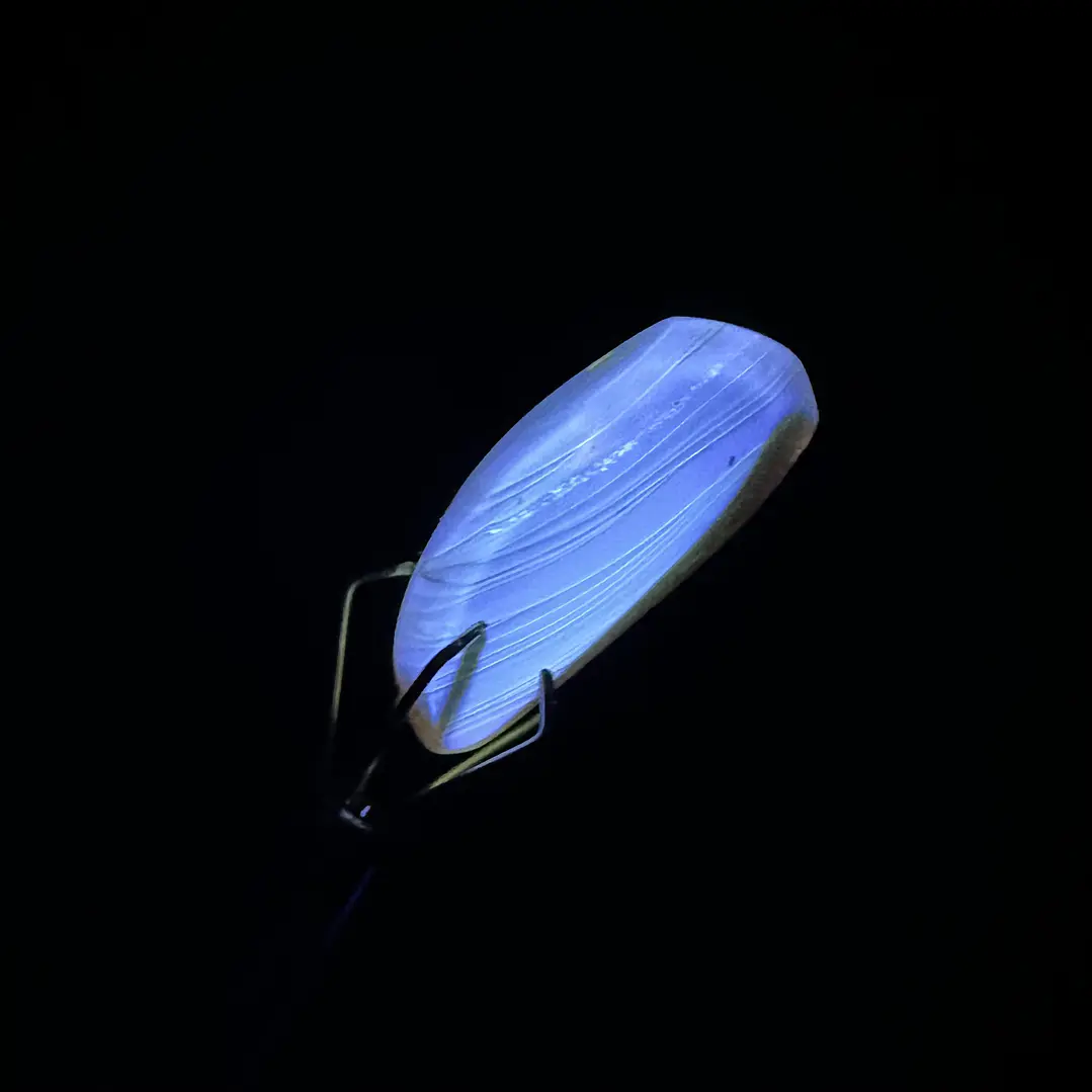 Ámbar con insecto #48 7