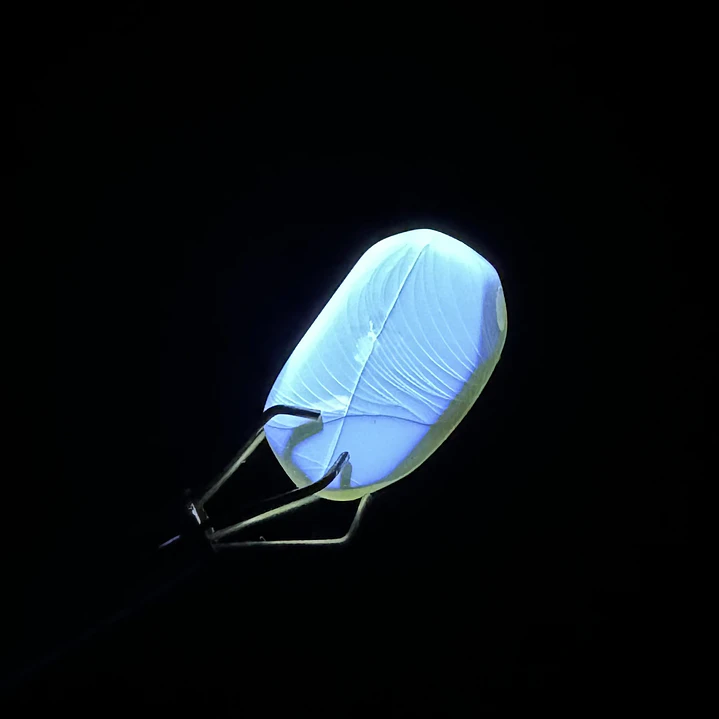 Ámbar con insecto #50 7