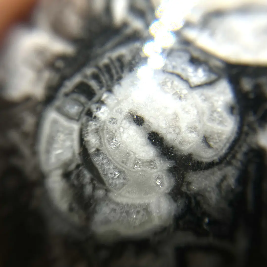 Esfera de Fósiles de Ammonite y Orthocera #2 10