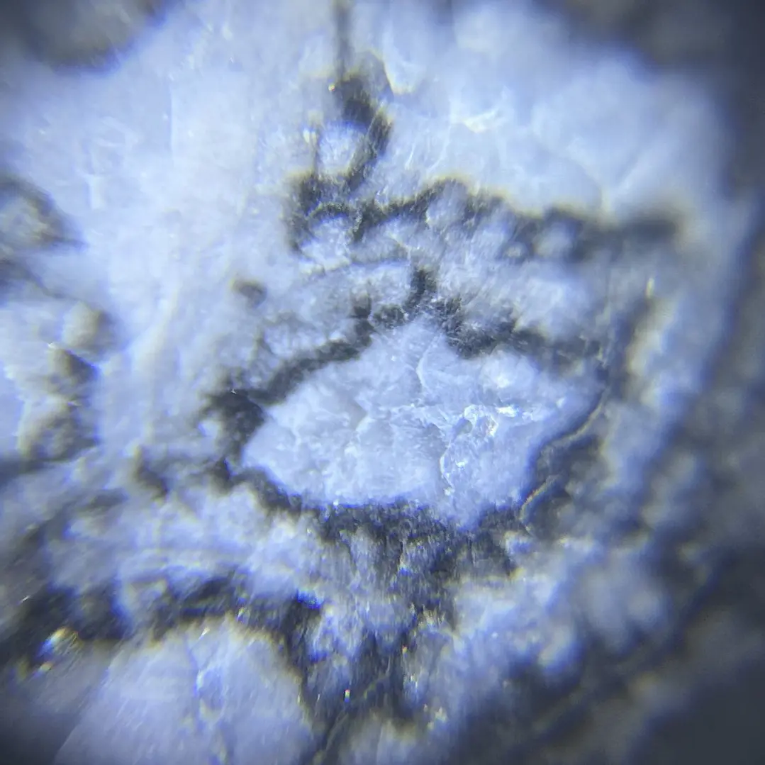 Esfera de Fósiles de Ammonite y Orthocera #2 11