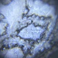 Esfera de Fósiles de Ammonite y Orthocera #2 - Miniatura 11