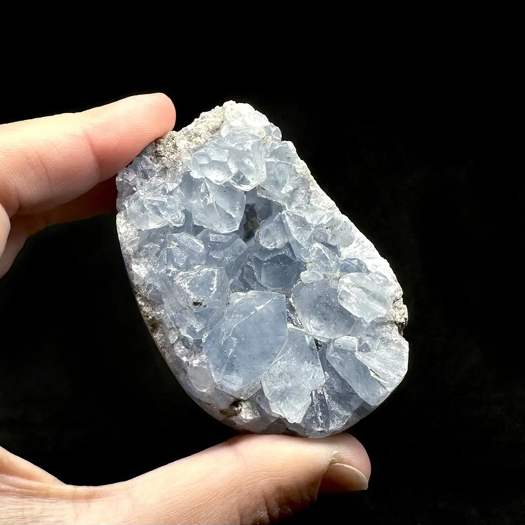 Celestina cluster #21 1