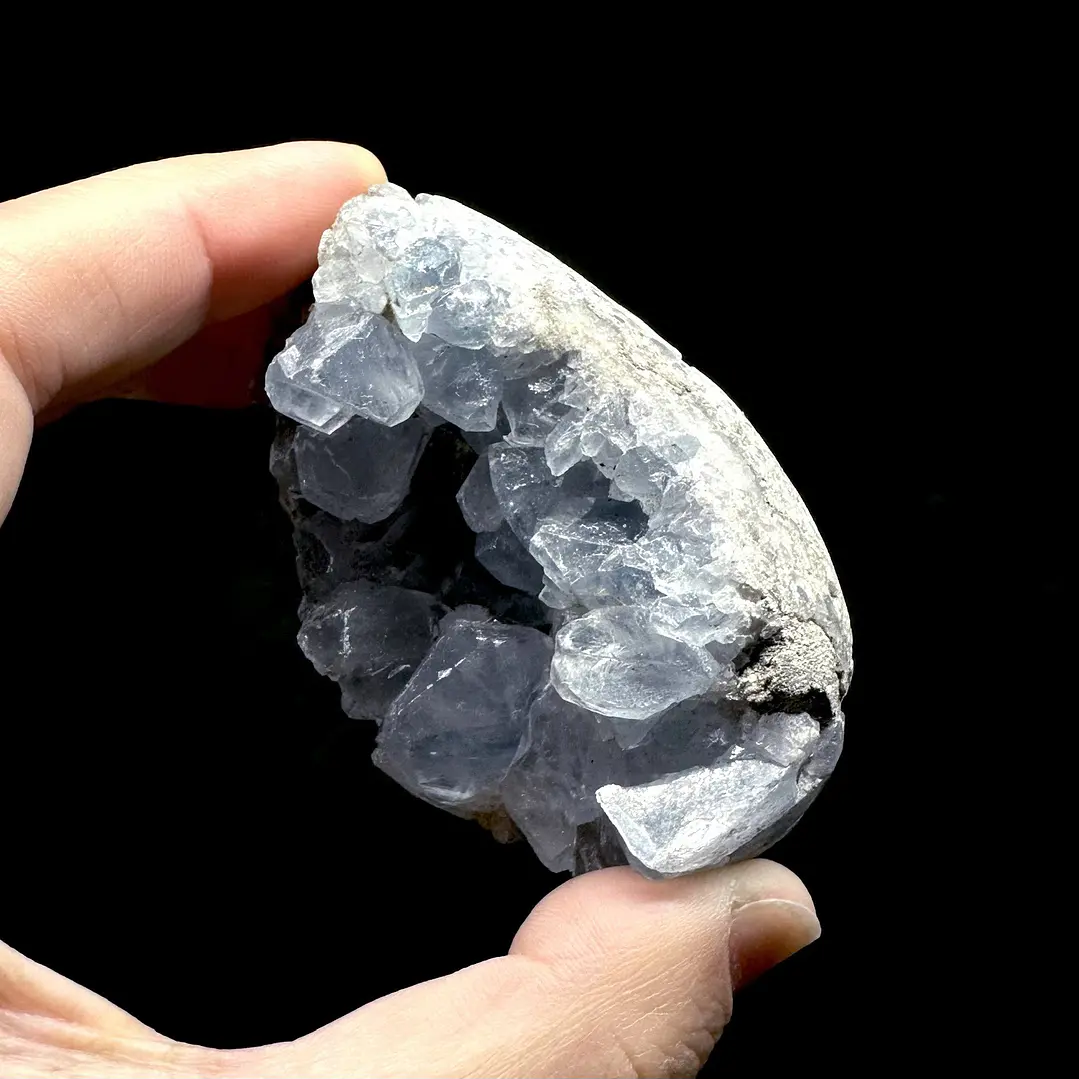 Celestina cluster #21 2