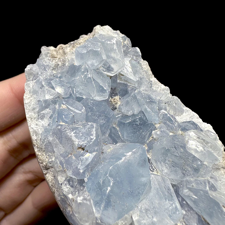 Celestina cluster #21 4