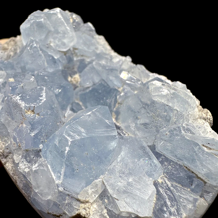 Celestina cluster #21 5