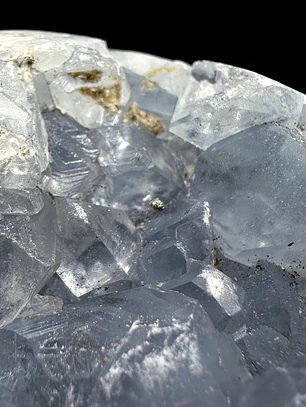 Celestina cluster #22