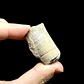 Fósil de Crinoidea #8 - Miniatura 1