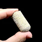 Fósil de Crinoidea #8 - Miniatura 2