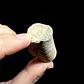 Fósil de Crinoidea #8 - Miniatura 5
