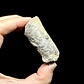 Fósil de Crinoidea #9 - Miniatura 4