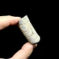 Fósil de Crinoidea #10 - Miniatura 4