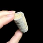 Fósil de Crinoidea #10 - Miniatura 2