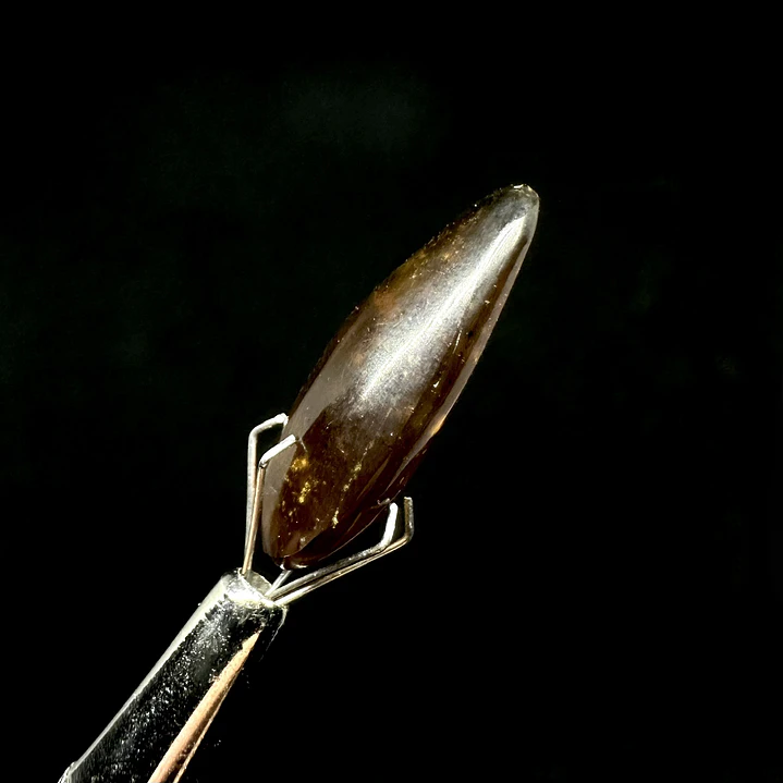 Ámbar con insecto #57 3