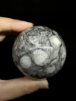 Esfera de Fósiles de Ammonite #1