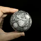 Esfera de Fósiles de Ammonite #1 - Miniatura 1