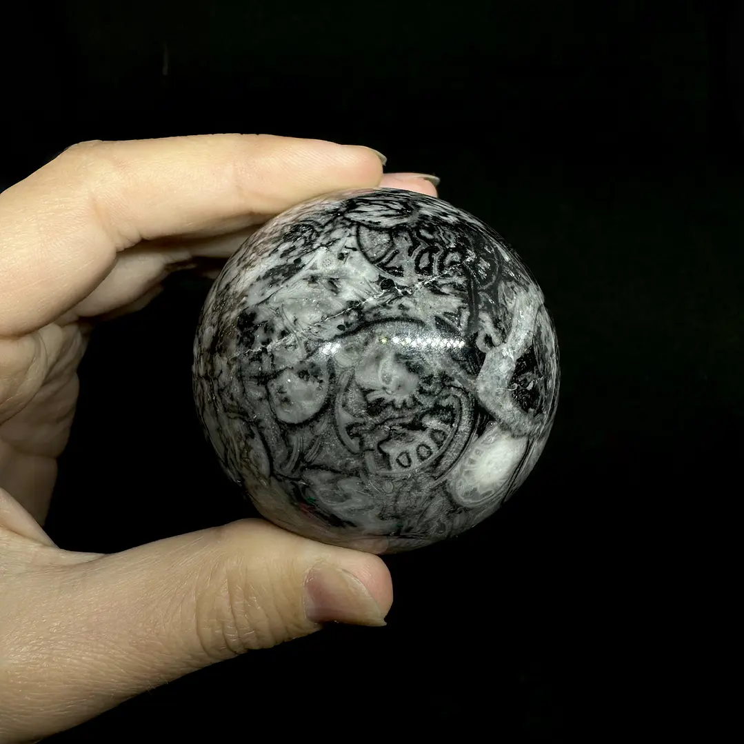 Esfera de Fósiles de Ammonite #1 3