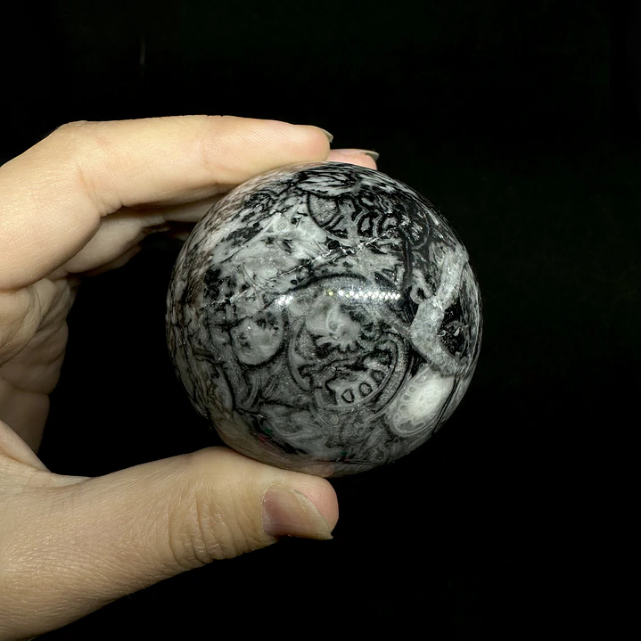 Esfera de Fósiles de Ammonite #1 3