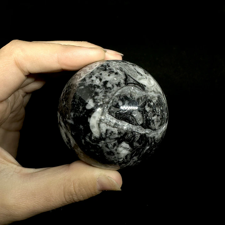Esfera de Fósiles de Ammonite #1 6