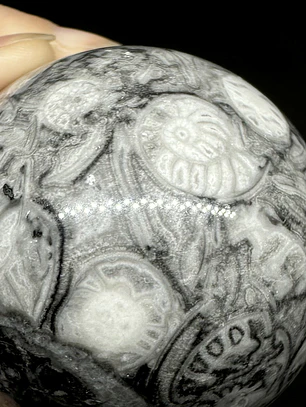 Esfera de Fósiles de Ammonite #1