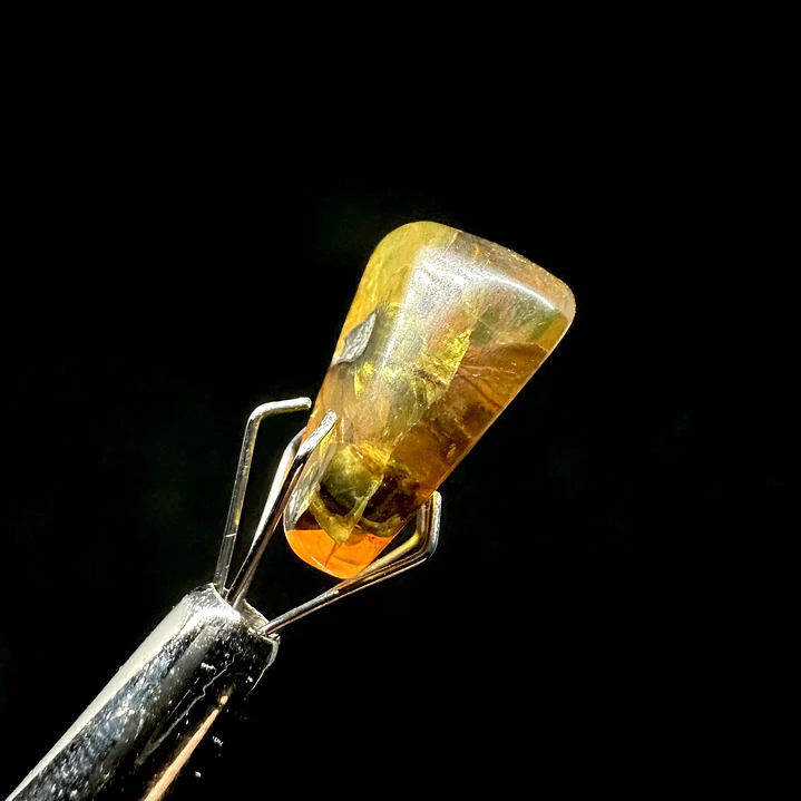 Ámbar con insecto #59 3