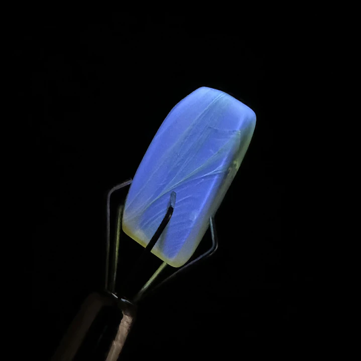 Ámbar con insecto #60 6
