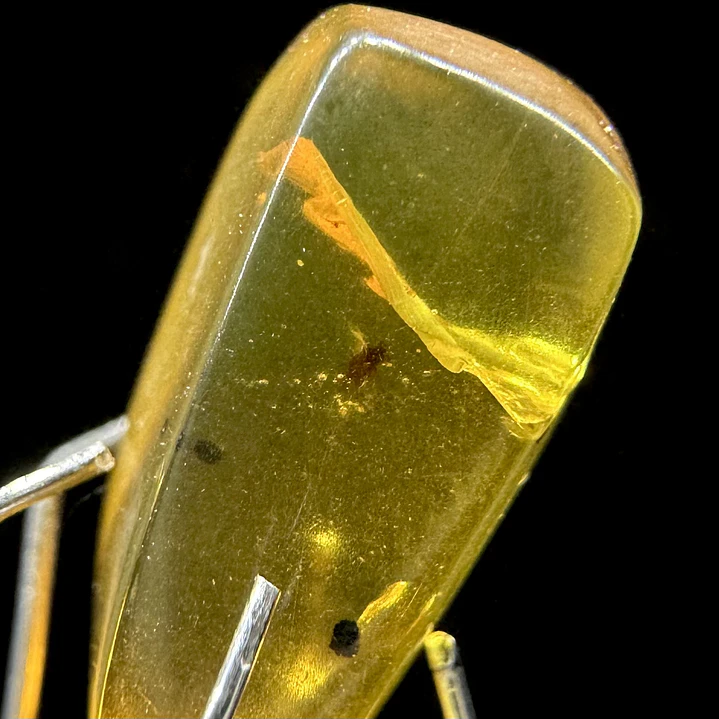 Ámbar con insecto #60 7