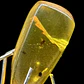 Ámbar con insecto #60 - Miniatura 7