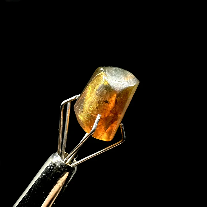 Ámbar con insecto #64 5