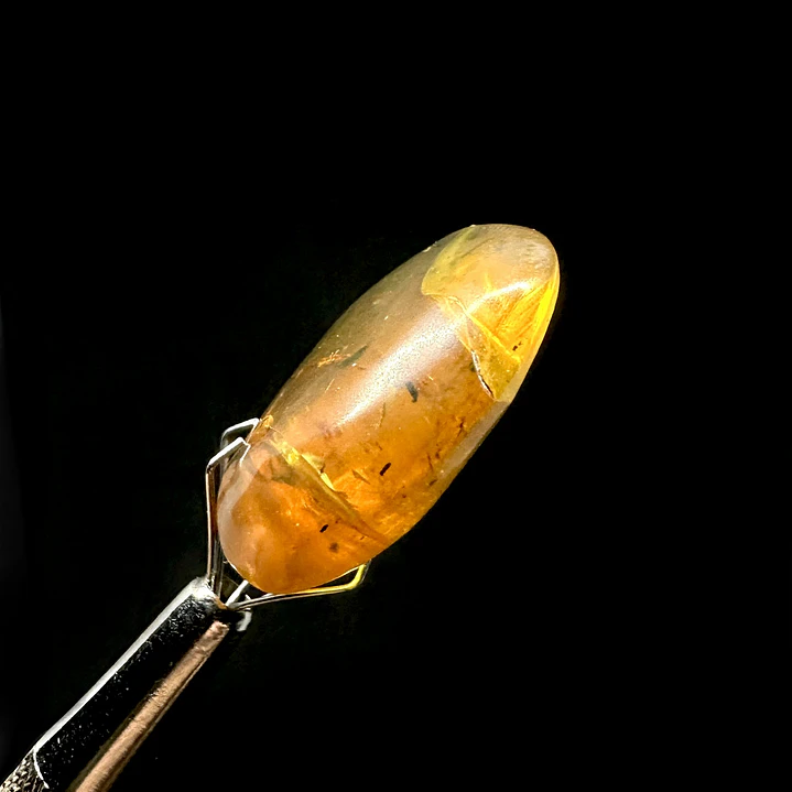 Ámbar con insecto #67 3