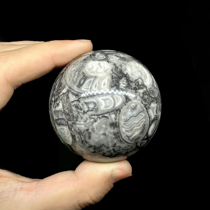 Esfera de Fósiles de Ammonite #2 4