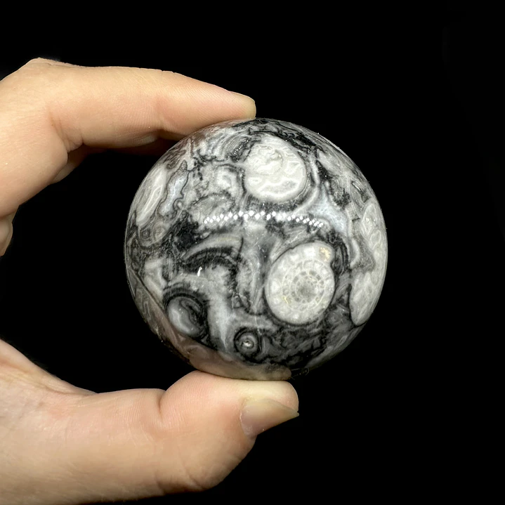 Esfera de Fósiles de Ammonite #2 6
