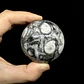 Esfera de Fósiles de Ammonite #2 - Miniatura 6