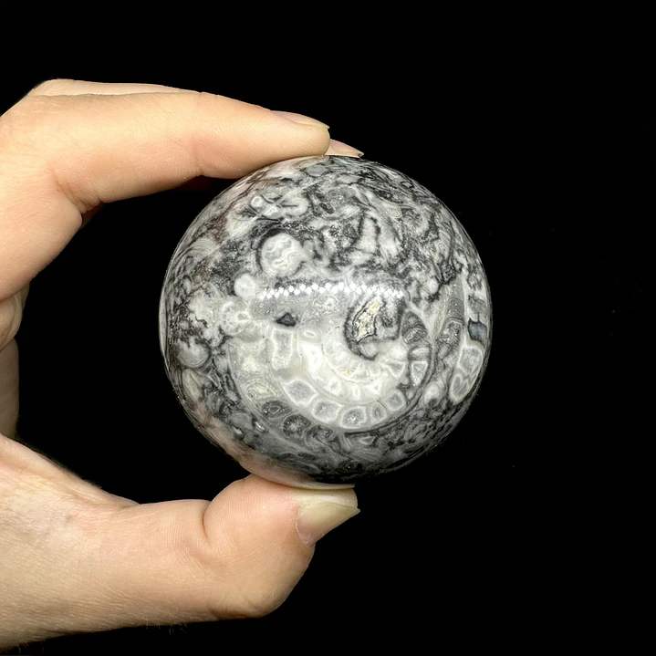 Esfera de Fósiles de Ammonite #2 3