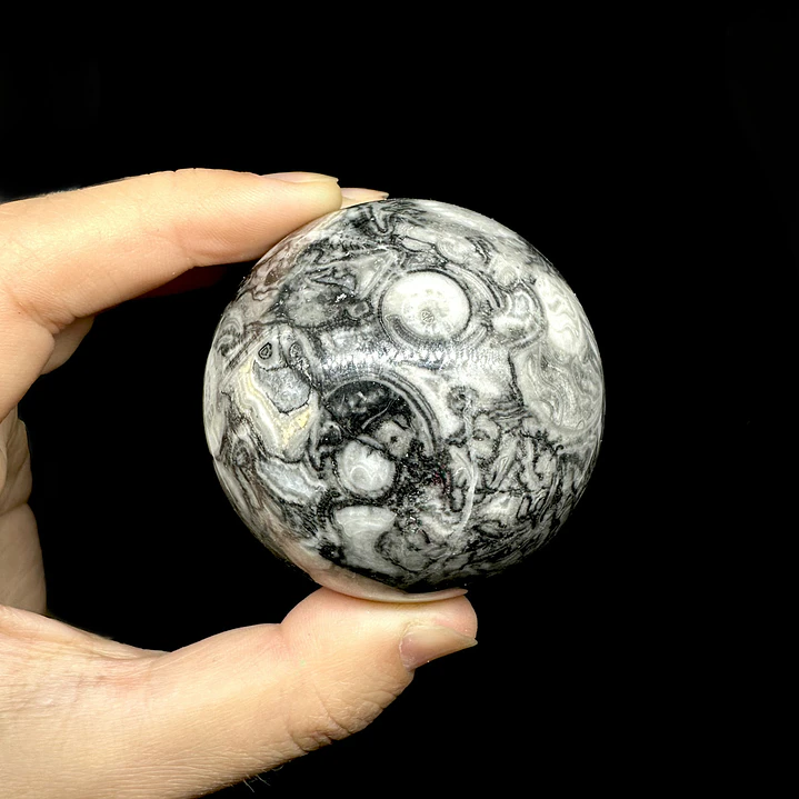 Esfera de Fósiles de Ammonite #2 7