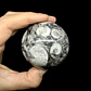 Esfera de Fósiles de Ammonite #2 - Miniatura 1