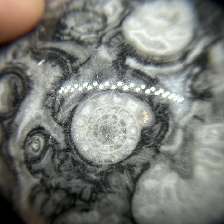 Esfera de Fósiles de Ammonite #2 2