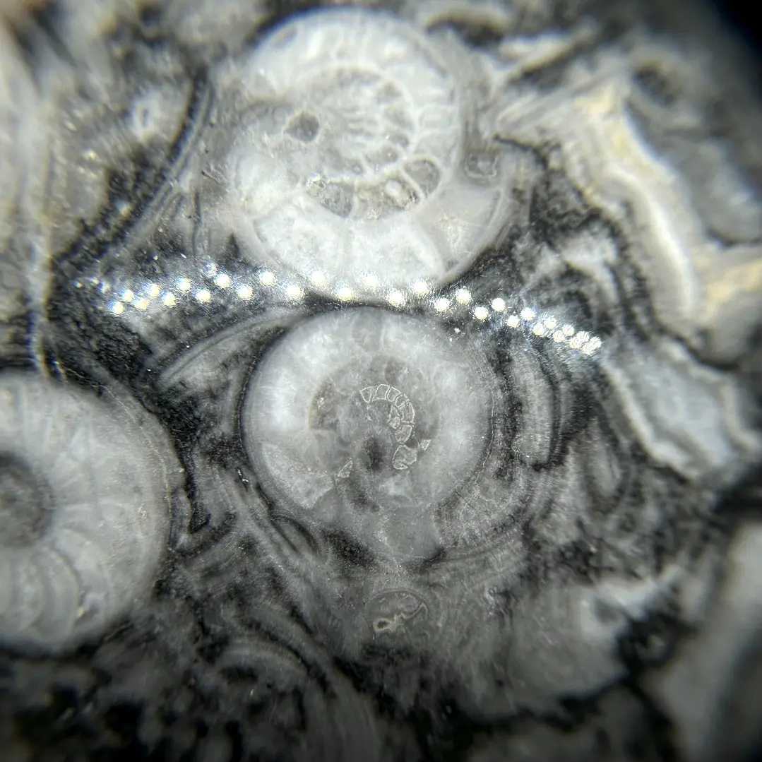 Esfera de Fósiles de Ammonite #2 8