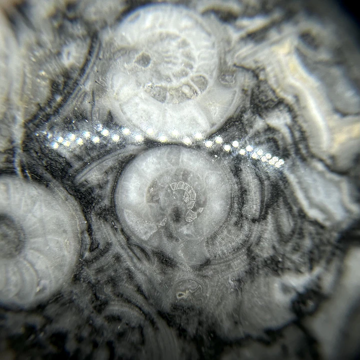 Esfera de Fósiles de Ammonite #2 8
