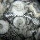 Esfera de Fósiles de Ammonite #2 - Miniatura 8