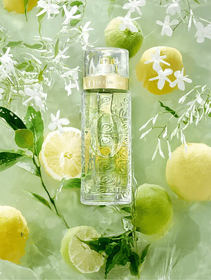 Perfume O De Lancome Dama Edt 125 ml