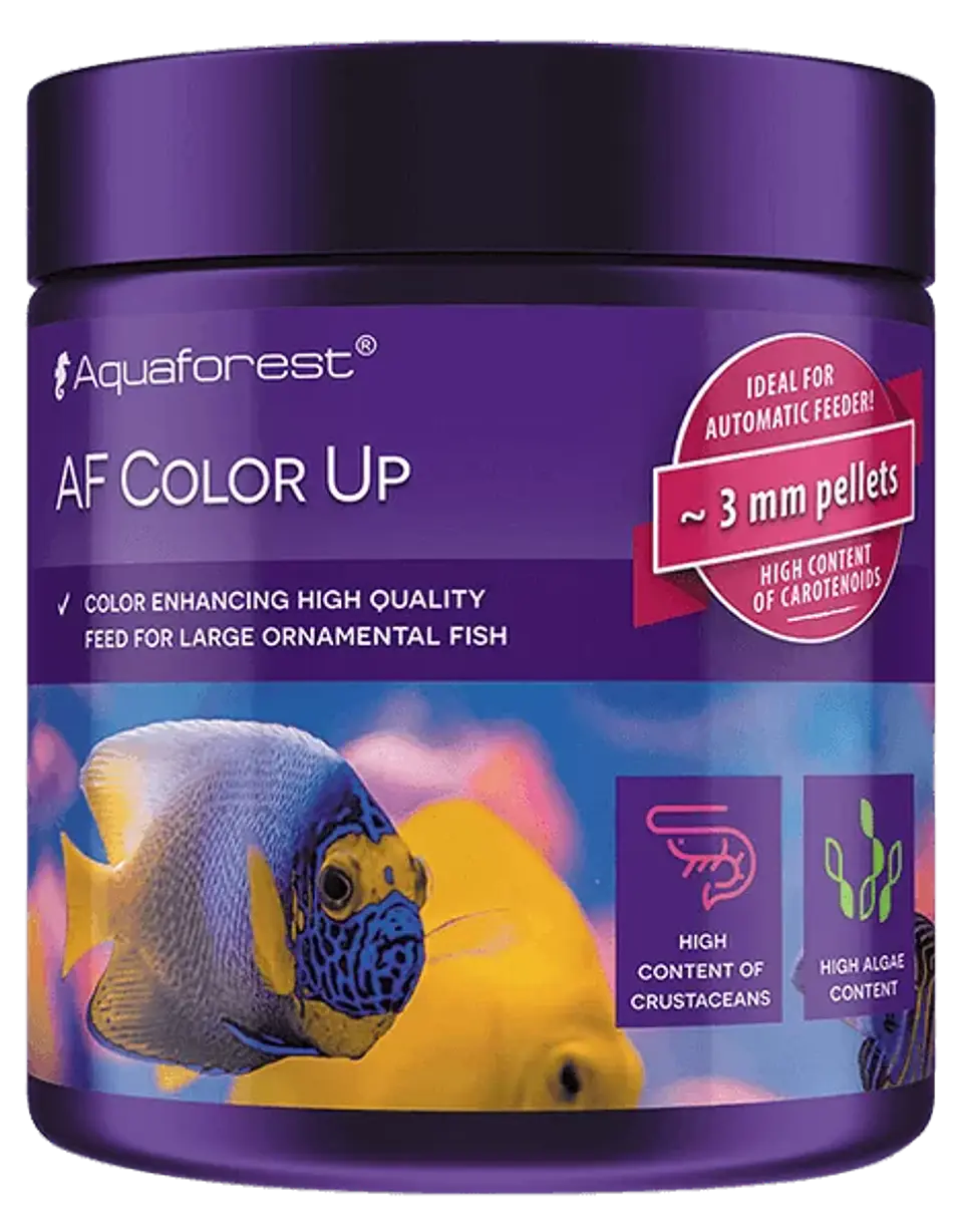 AF Color Up 1
